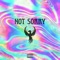 Not Sorry - Bowdizz lyrics