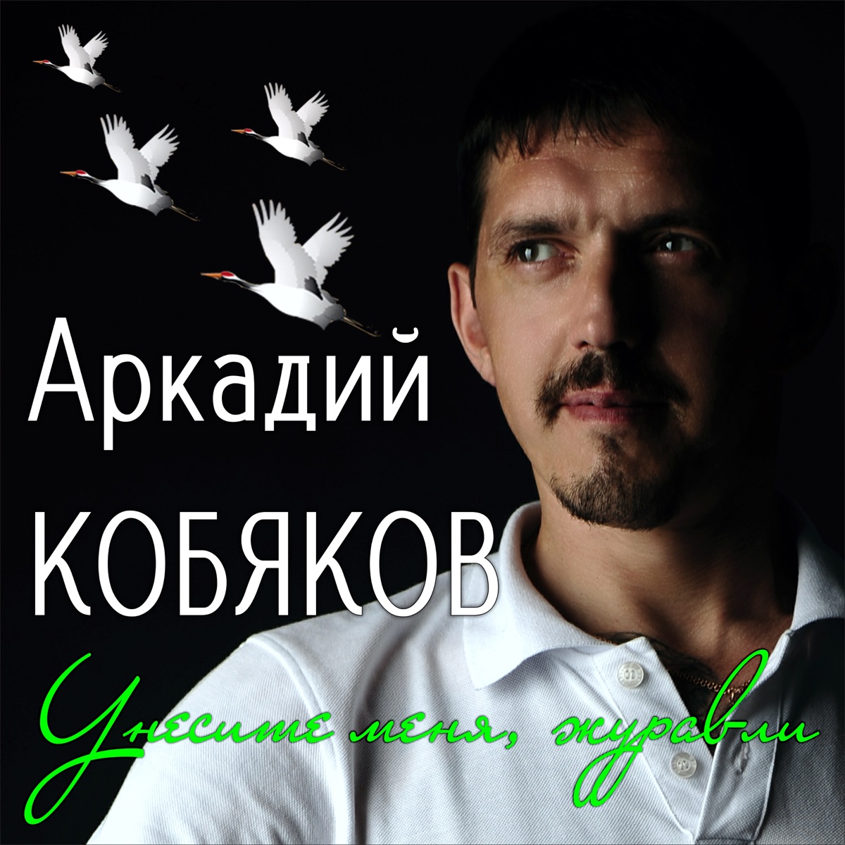 Аркадий Кобяков – Унесите меня, журавли: слушать и скачать mp3 песню