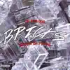 Bricks (feat. Skippa Da Flippa) - Single album lyrics, reviews, download