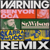 Warning (Remix) artwork