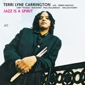 Terri Lyne Carrington - Witch Hunt