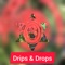 Takeone - Drips & Drops lyrics