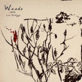 Lee Dewyze - Weeds