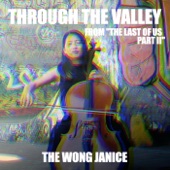 Through the Valley (From "the Last of Us Part II") artwork