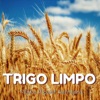 Trigo Limpo (Musica Popular Alentejana)