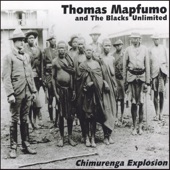 Thomas Mapfumo And The Blacks Unlimited - Zvichapera