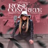 Rose in the Concrete - Single, 2019