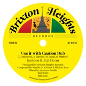 Use it with Caution Dub (feat. Ital Horns) artwork