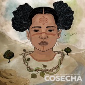 Cosecha artwork