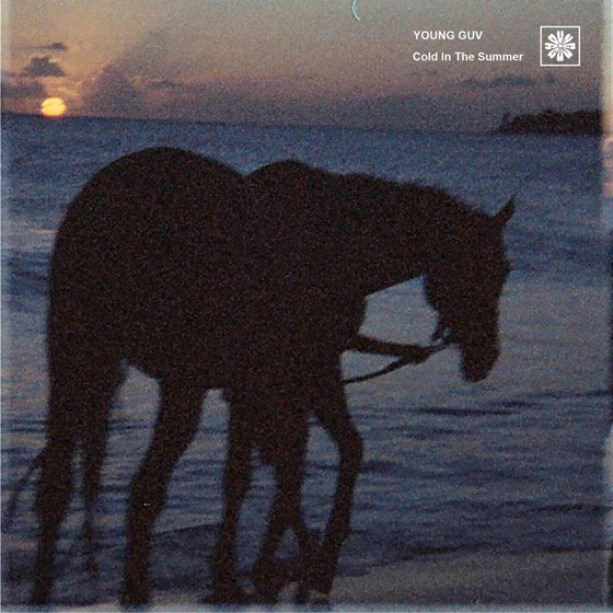 Cover artwork for Cold In the Summer