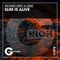 Slim Is Alive - Richard Grey & Lissat lyrics