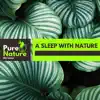 A Sleep With Nature album lyrics, reviews, download