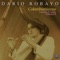 La Ruana - Dario Robayo lyrics
