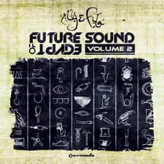 Future Sound of Egypt, Vol. 2