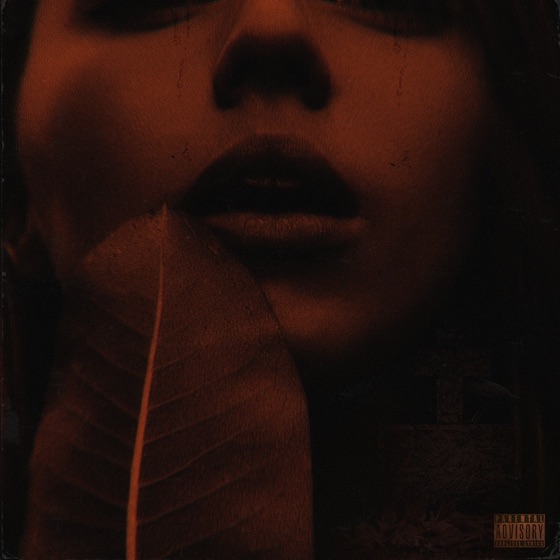 Cover artwork for Til I Die