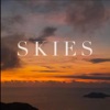 Skies - Single