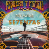 Pequeña y Frágil artwork