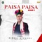 Paisa Paisa (Remix 2) - Birbal Kinnora lyrics