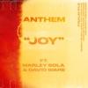 JOY (feat. Marley Sola & David Ware) - Single