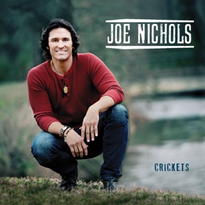 Joe Nichols - Just Let Me Fall In Love With You - Line Dance Choreographer
