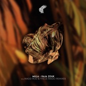 Raja Zouk - EP artwork