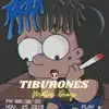 Tiburones (Remix) - Single album lyrics, reviews, download