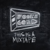 Fool's Gold x Sussman Brothers - This Is a Mixtape