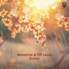 Sunray - Single