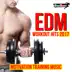 EDM Workout Hits 2017: Motivation Training Music album cover