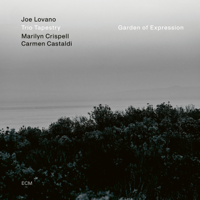 Joe Lovano, Marilyn Crispell & Carmen Castaldi - Garden of Expression artwork