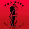 You Seek - Single album lyrics, reviews, download