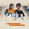 Vamos pra Gaiola (feat. MC Kevin o Chris) - Single