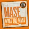 What You Want (Stripped Version) [Remix] - Single album lyrics, reviews, download