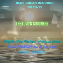 The Lord's Goodness - Single by Precious Elems & Theo Michael album reviews, ratings, credits