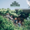 Never Tear Us Apart by The Teskey Brothers iTunes Track 1