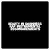 Beauty in Darkness (Rap Instrumental) [Instrumental] - Single album lyrics, reviews, download