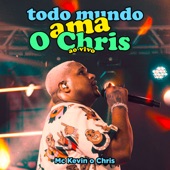 Todo Mundo Ama O Chris (Ao Vivo) artwork