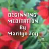 Beginning Meditation - EP album lyrics, reviews, download