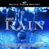 Just Rain: 2 Hours of Sounds from the Natural World Peaceful Rain Storm for Sleep & Relaxation album lyrics, reviews, download
