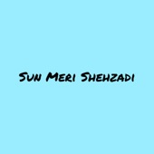 Sun Meri Shehzadi (feat. Krishna Singh) artwork