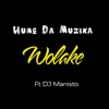 Stream & download Wolake (feat. DJ Manisto) - Single