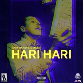 Hari Hari artwork