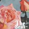The 3cm~ - 東京はっぱ