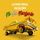 Me Ven Manejando (feat. Trae tha Truth) artwork
