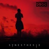 Synesthésie - EP