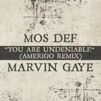 You Are Undeniable (Amerigo Remix) by Mos Def & Marvin Gaye song reviws