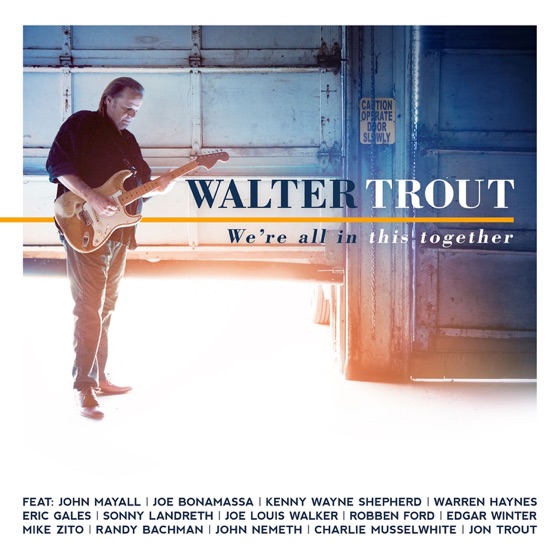 Cover artwork for The Sky Is Crying (feat. Warren Haynes)