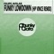 Funky Lowdown (HP Vince Remix) - Felipe Avelar lyrics