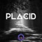 Placid - chill brz lyrics