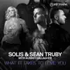 What It Takes to Love You (with Audrey Gallagher) - Single album lyrics, reviews, download